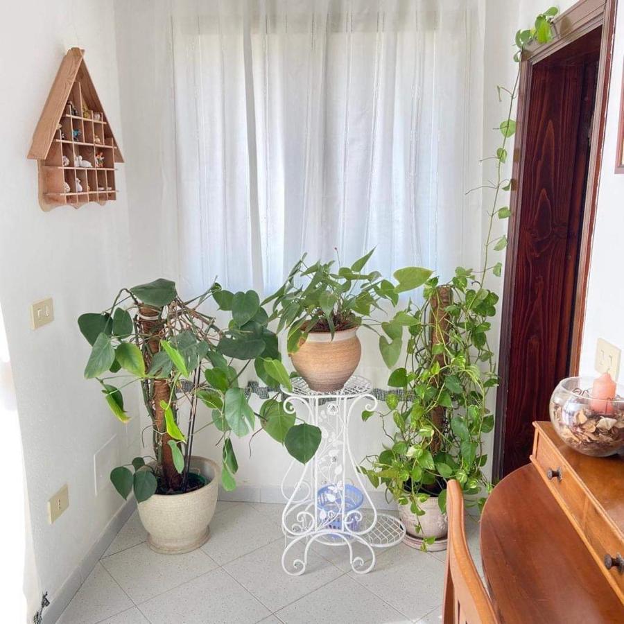 Vila Casa Maltinu Santa Teresa Gallura Exteriér fotografie